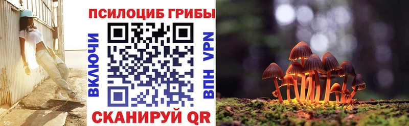 Галлюциногенные грибы мухоморы  купить наркоту  Новочеркасск 